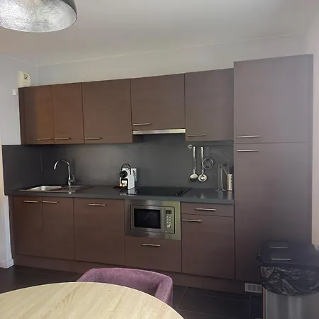 Apparthotel Tempologis Saint-Germain - Parking Gratuit Et Appartements Avec Balcon Grenoble