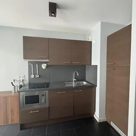 Aparthotel Apparthotel Tempologis Saint-Germain - Parking Gratuit Et Appartements Avec Balcon Grenoble